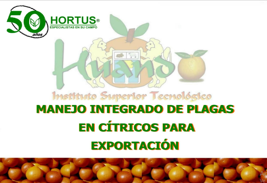 No Hay Imagen Disponible