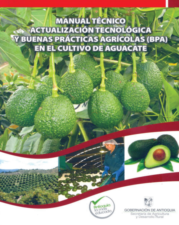 No Hay Imagen Disponible
